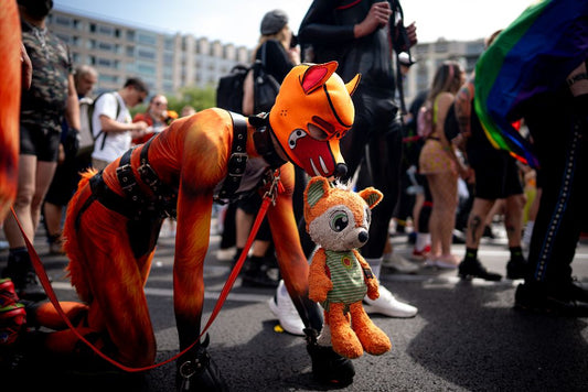 HØRER KINK TIL I PRIDEN? 🌈
