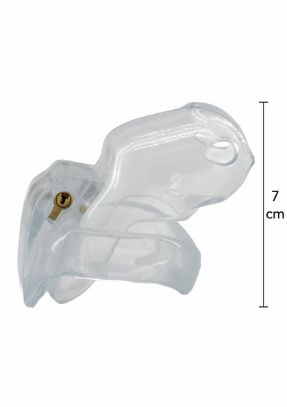 HIDDEN DESIRE - CLEAR CONTROL COCK CAGE