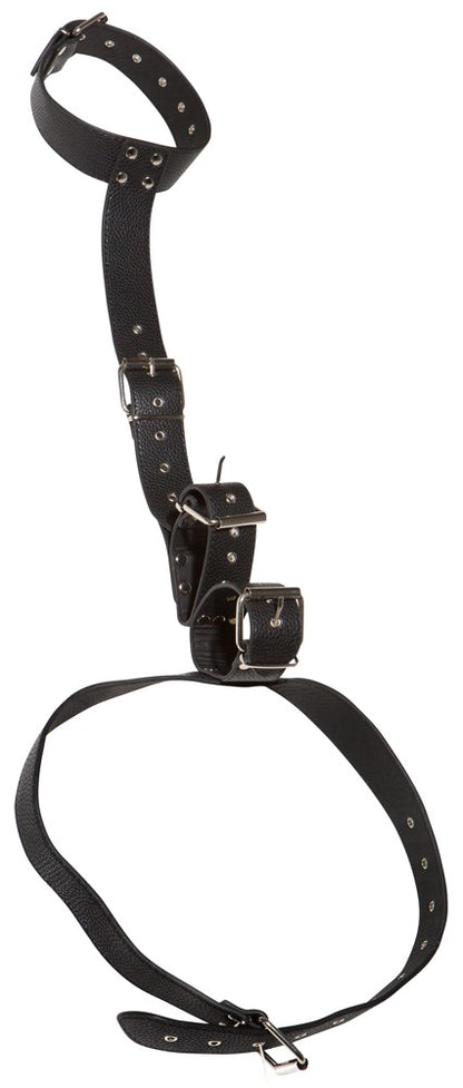 BAD KITTY - NECK RESTRAINT MED HÅNDLEDS MANCHETTER