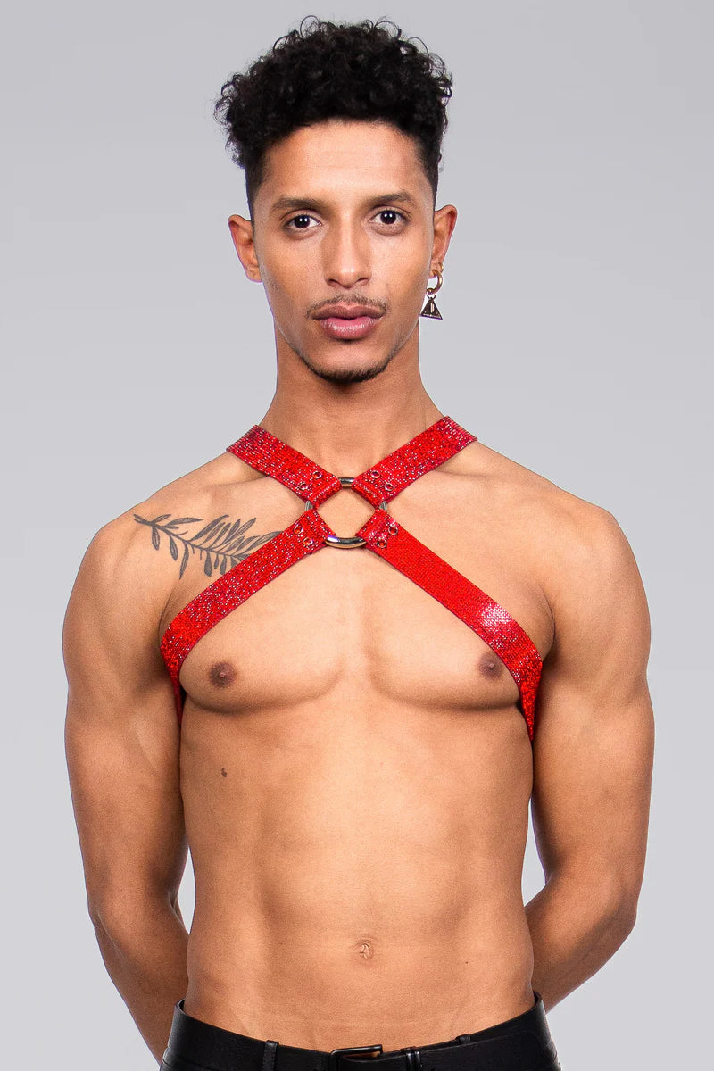 LORAND LAJOS - RØDT KRYSTAL X-HARNESS