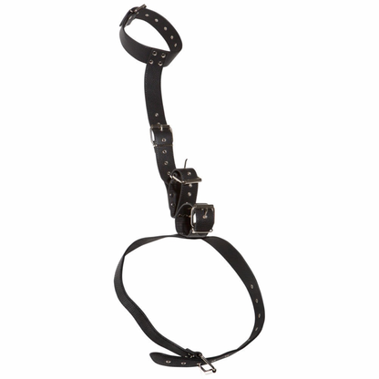 BAD KITTY - NECK RESTRAINT MED HÅNDLEDS MANCHETTER
