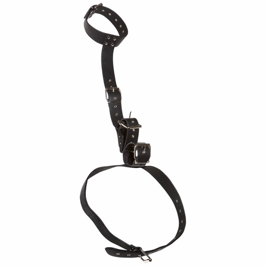 BAD KITTY - NECK RESTRAINT MED HÅNDLEDS MANCHETTER