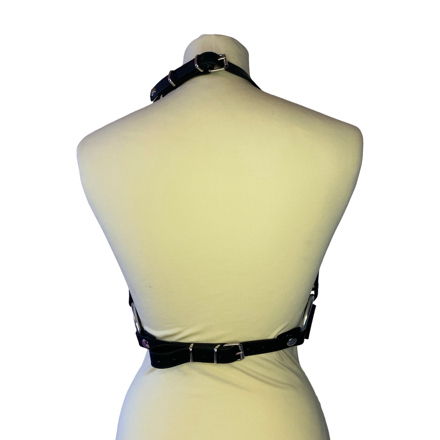 SINESTESIA - DRAGON HARNESS