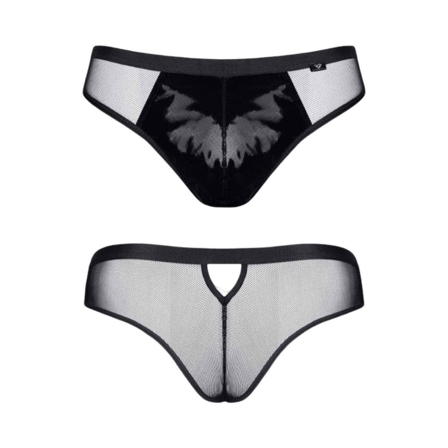 REGNES - REIZAN BRIEFS