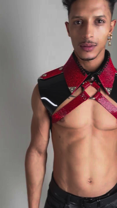 LORAND LAJOS - RØDT KRYSTAL X-HARNESS